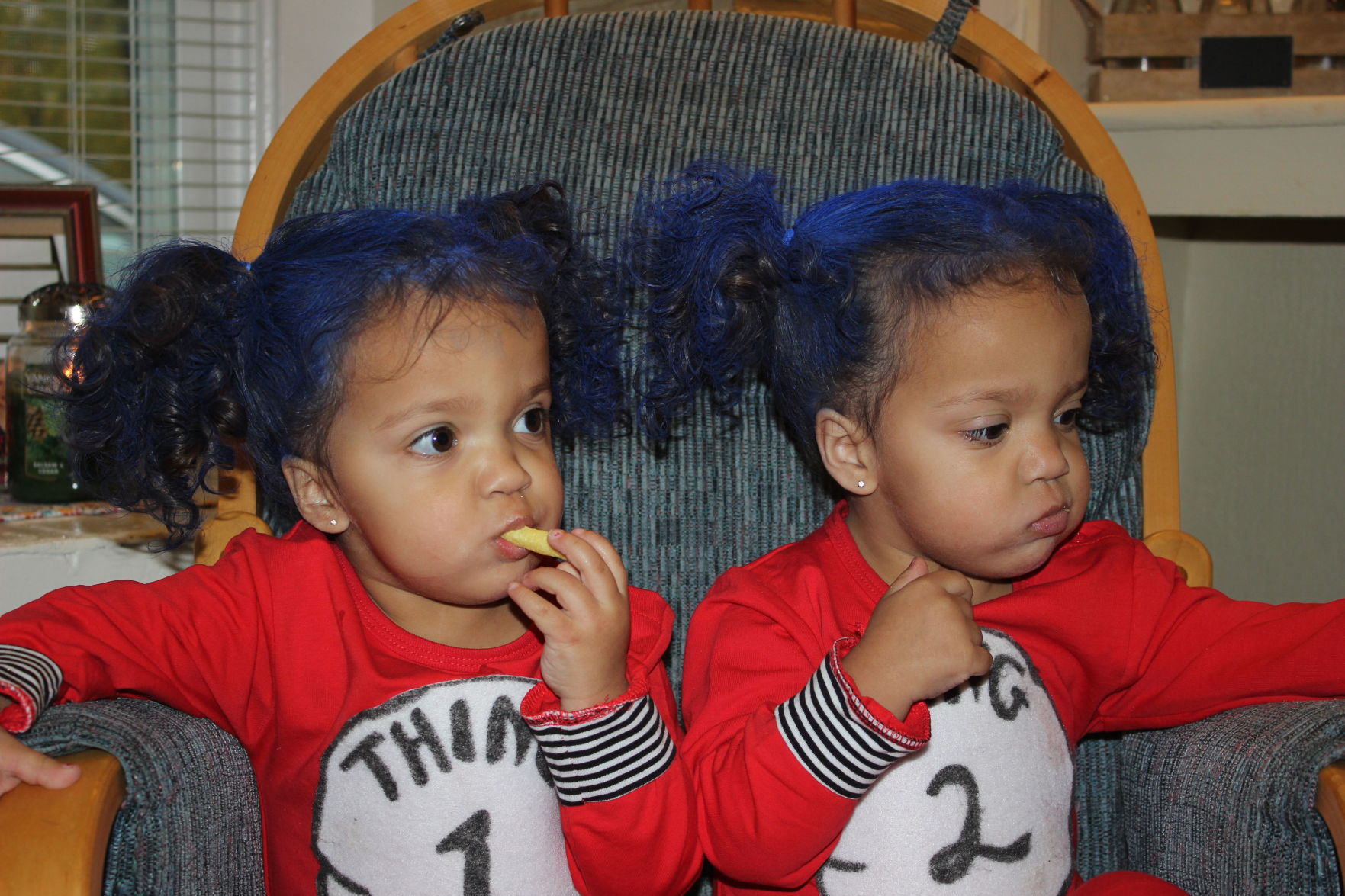 Thing 1 and Thing 2, submitted by Valerie Frey
